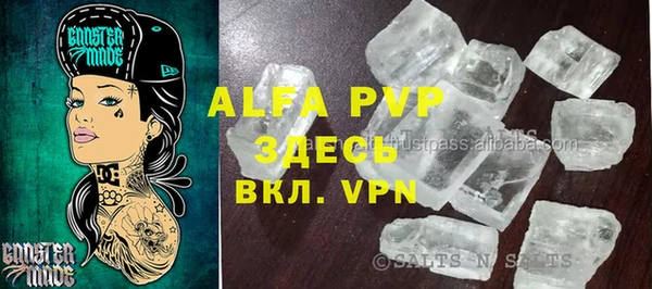 сатива Арсеньев